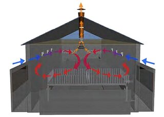 Comprehensive solutions Pig farming - Comprehensive solutions