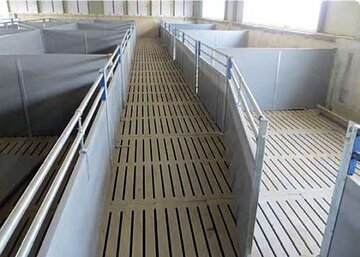 Stall accessories Pig farming - Stall accessories