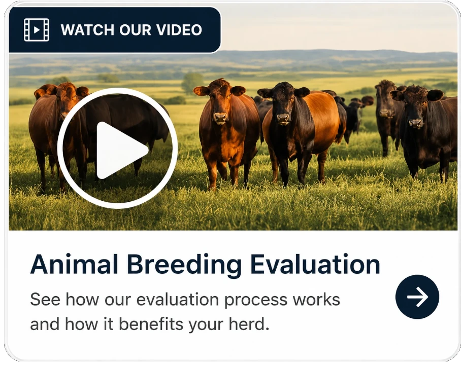 Watch our video