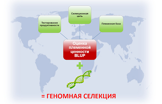 Новые способы оценки селекционной ценности и селекционных проектов